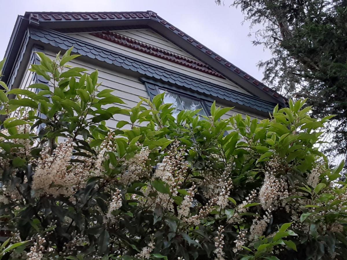 Sea Birds Cottage 維多利亞 外观 照片