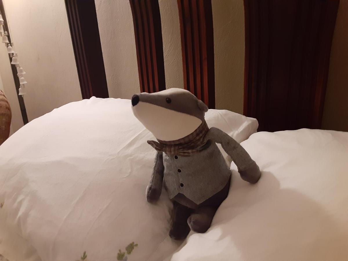 Sea Birds Cottage 維多利亞 外观 照片